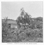 Alberdi: native huts on the river bank